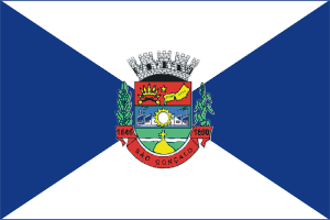 bandeira_sg.gif