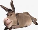 burrinhoshrek.jpg
